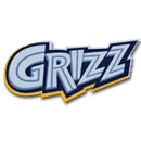 Skyline High School logo