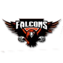 Hickman County High School logo