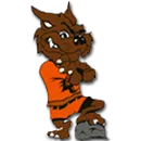 Lynn Camp High School logo