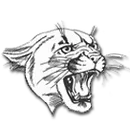 McLean County High School logo