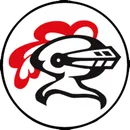 Lincoln-Way Central High School logo