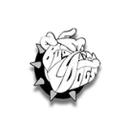 Louisiana High School logo