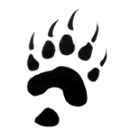 Lyons-Decatur Northeast High School logo