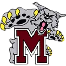 Mechanicsburg Area High School logo
