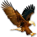 Newburg High School logo