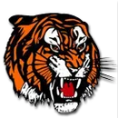 Newport High School logo