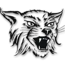 Lincoln County High School logo