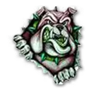 Virgin Valley High School logo