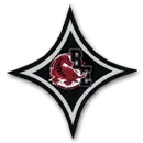 Bamberg-Ehrhardt High School logo