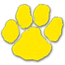 Dillon High School logo