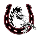 Northwestern High School - DCP logo