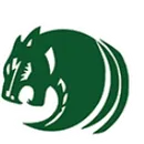 2021 MHSAA Girls Volleyball Playoffs Multi-team Event logo