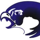 BHRV Nighthawks logo