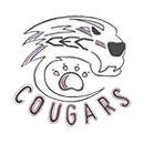 Christian Educational Consortium logo