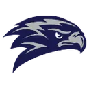 Texas Wind logo