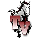 Tri-Valley Middle School logo