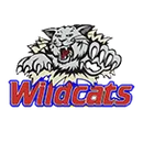 Benson County logo