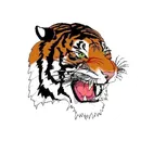 Strasburg-Franklin High School logo