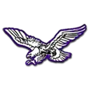 Brackenridge High School logo