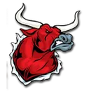 Altamont High School logo