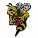 Enosburg Falls Jr-Sr High School logo