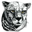 Varsity Boys And Girls Wrestling Multi-team Event logo