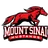 Mount Sinai