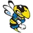 Carver