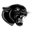 CCHS