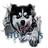 Togiak