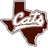 Calallen