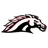 PCM