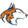Naperville North High School logo