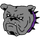 Baldwin High School logo