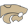 Hayden High School logo