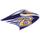 Brantley County High School logo
