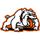 Dalton logo
