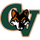 Campo Verde High School logo