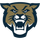 Hayden Catholic High School logo