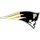 Pioneer High School - Woodland logo