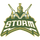 Chamberlain High School logo