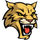 Wood High School logo