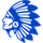 Amity High School logo