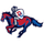Dundee-Crown High School logo