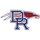 Dakota Ridge High School logo
