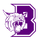 Berryville High School logo