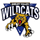 Shelby Valley High School logo