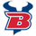 Bigfork High School logo
