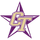 Chisholm Trail High School logo