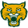 White River Valley logo